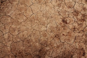 cracked-earth-texture