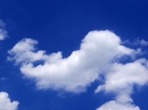 the-little-birdy-cloud